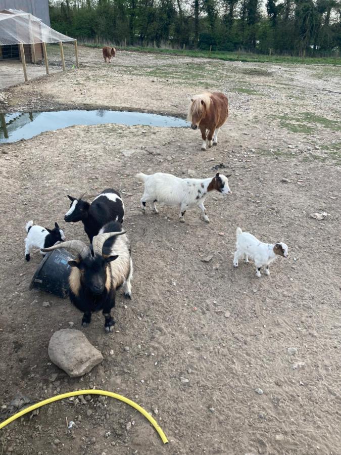Chambres Dhotes A La Ferme Forest-Montiers Kültér fotó